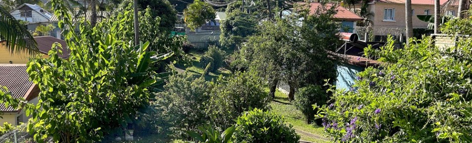Terrain 280 m2 Entre-Deux