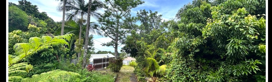 Terrain 1000 m2 Entre-Deux