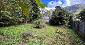 Case créole sur terrain 930 m2 Entre-Deux